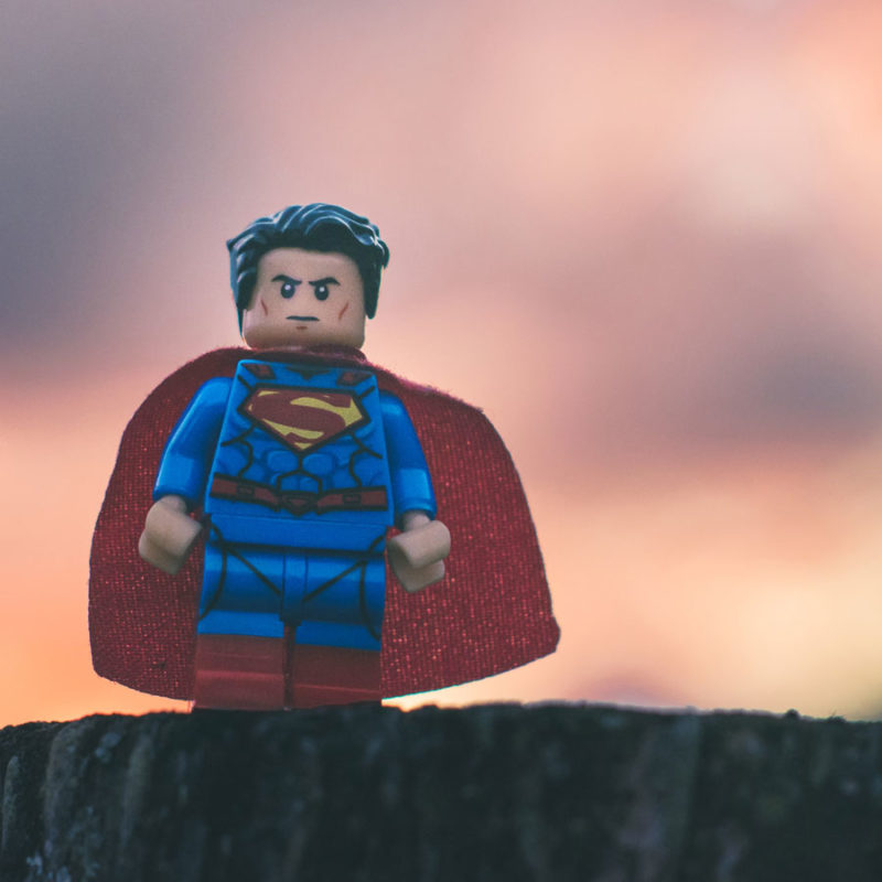 LEGO Superman - Article Blog OUR HISTORY - LF PLANTS